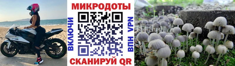 Псилоцибиновые грибы Magic Shrooms даркнет сайт Брюховецкая